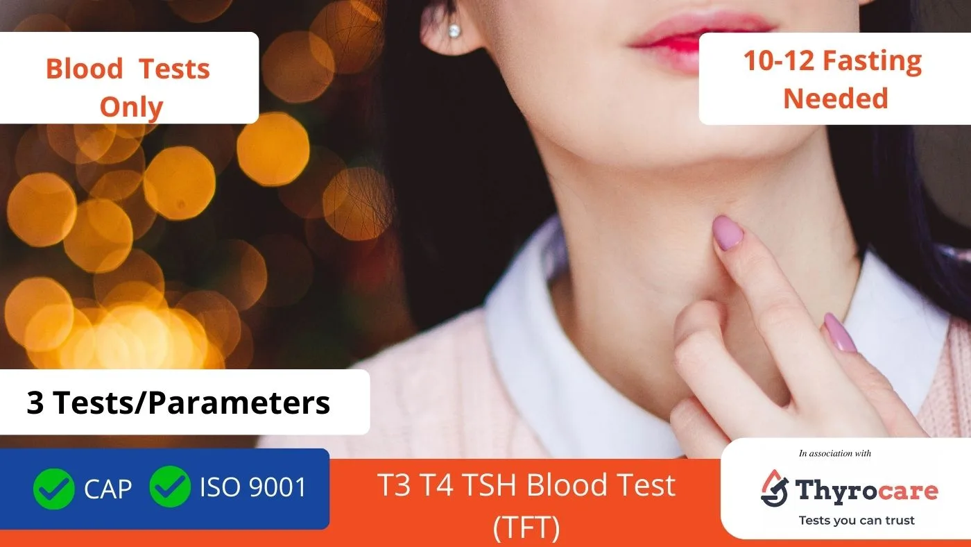 T3 T4 TSH Blood Test (TFT)