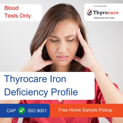 Thyrocare Iron Deficiency Profile