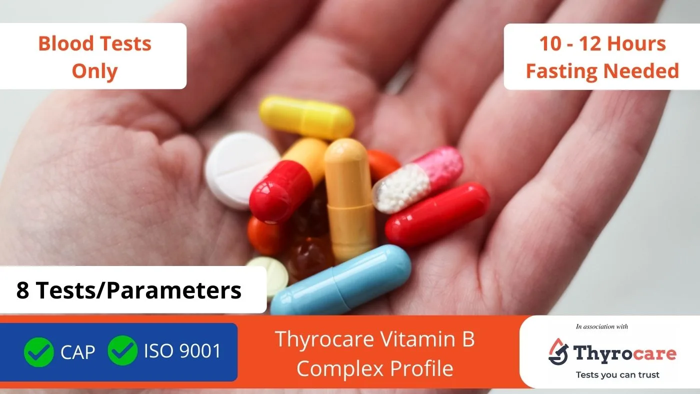 Thyrocare Vitamin B Complex Profile Rs 1550