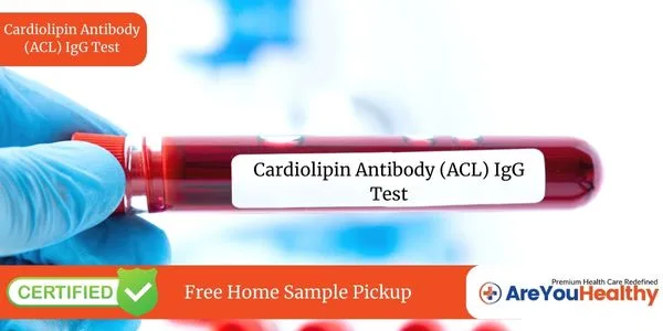 Cardiolipin Antibody (ACL) IgG Test