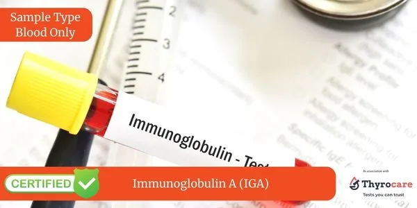 Immunoglobulin A IGA Test