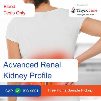 Thyrocare Advanced Renal Kidney profile