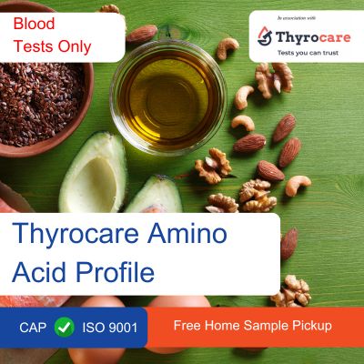 Thyrocare Amino Acid Profile