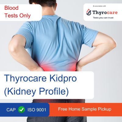 Thyrocare Kidpro Kidney profile