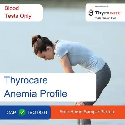 Thyrocare Anemia Profile